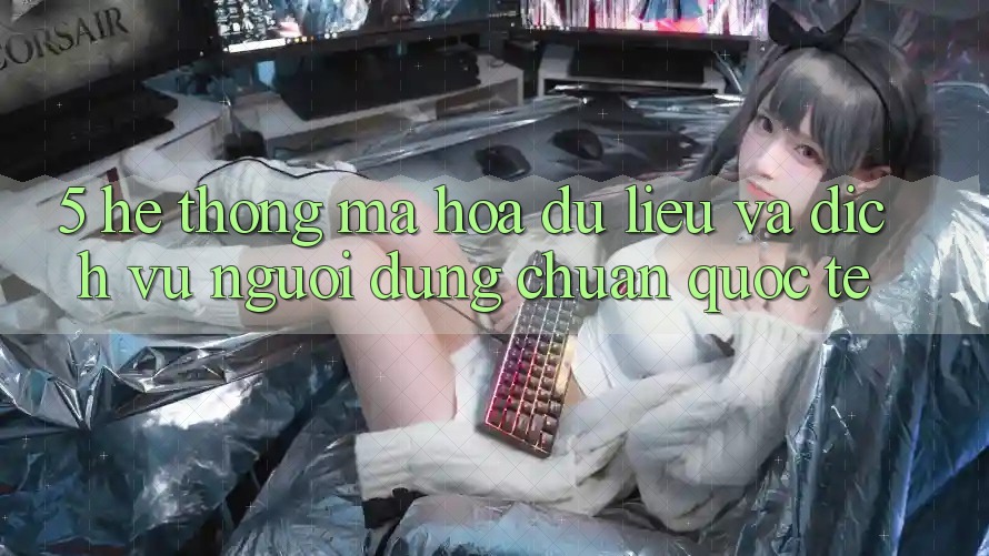 5. Hệ thống Mã hóa dữ liệu Và Dịch Vụ Người dùng Chuẩn Quốc Tế